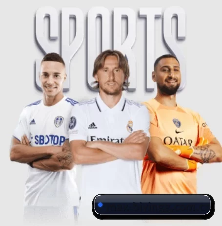 五大服务分区,信息按项目分类 - BWIN
